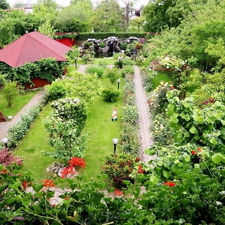 Pension Delia Gardens 蒂米什瓦拉 外观 照片