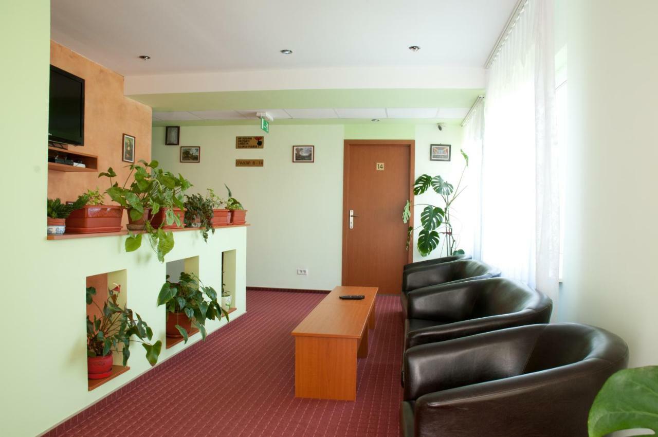Pension Delia Gardens 蒂米什瓦拉 外观 照片