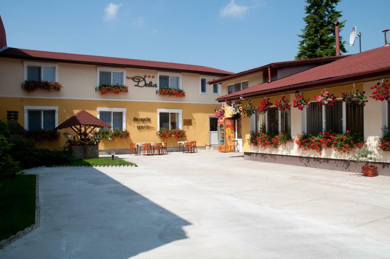 Pension Delia Gardens 蒂米什瓦拉 外观 照片