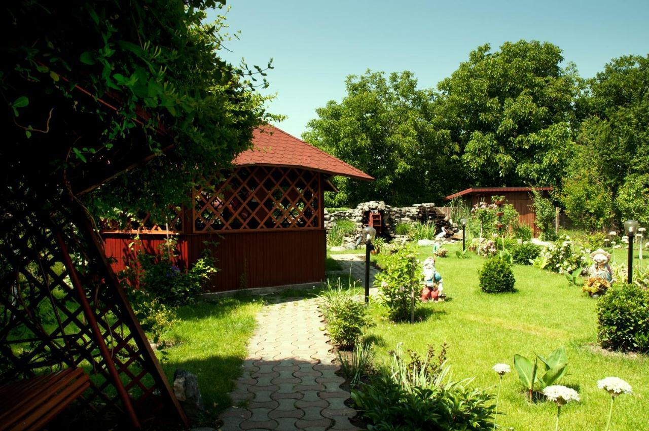 Pension Delia Gardens 蒂米什瓦拉 外观 照片