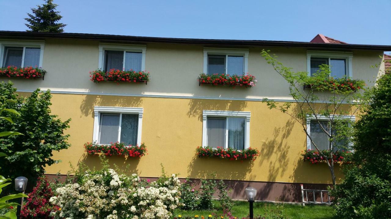 Pension Delia Gardens 蒂米什瓦拉 外观 照片