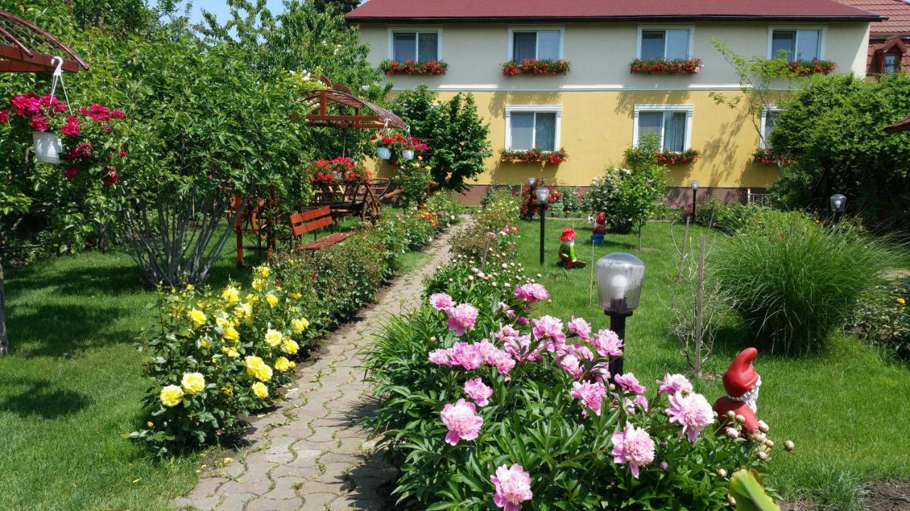 Pension Delia Gardens 蒂米什瓦拉 外观 照片