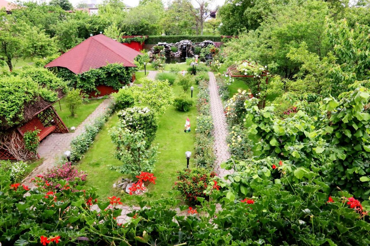 Pension Delia Gardens 蒂米什瓦拉 外观 照片